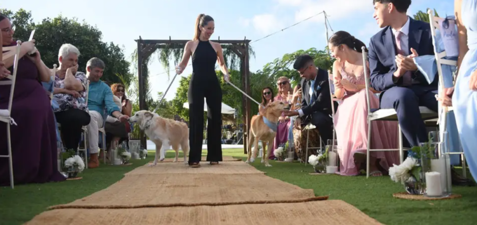 Tu perro en tu boda