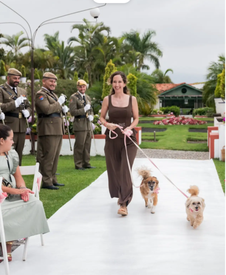 Perro en tu boda en Gran Canaria